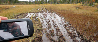 Olaglig terrängkörning i naturreservat