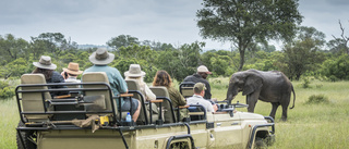 Wildeside safari i sydafrika  