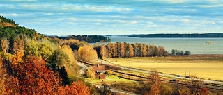 Hemlängtan i Kolmårdsnatten   