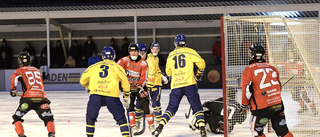 En rejäl genomklappning av Tjust Bandy