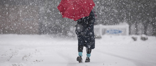 Regn och rusk blir snö mot slutet av veckan