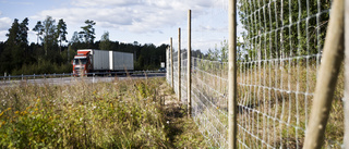 Inga spår efter stulet viltstängsel