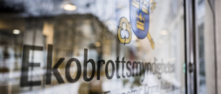 Ung Västerviksbo döms för ekobrott