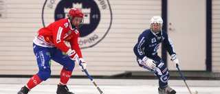 Hoppfullt för en sport på utdöende