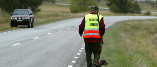 Polisen varnar för viltolyckor