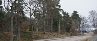 Kan bli naturreservat nära centrum