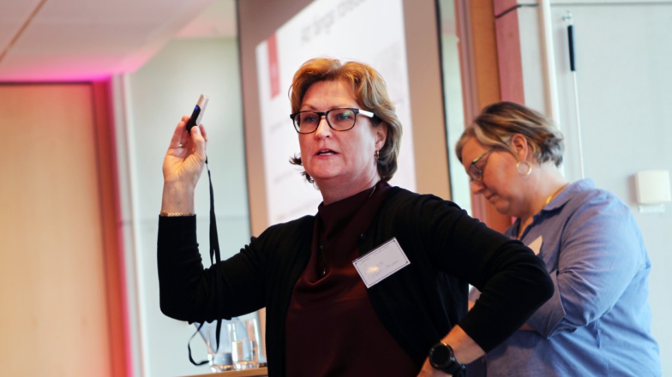 Kryssningsbesökare har rustats med en GPS för att samla in information om hur deras besök ser ut, berättar Sabine Gebert Persson som är projektledare för Uppsala universitets undersökning om Hållbara besök.