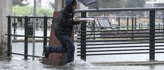 Regn och rusk håller sitt grepp om Gotland