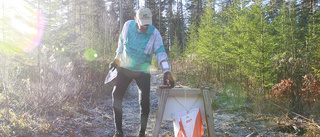 TV: Hundratals veteraner på språng i skogen