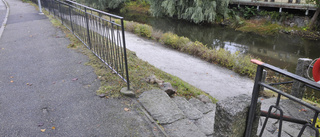 Gångstig öppen igen - men parken dröjer