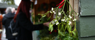 LISTA: 25 sörmländska julmarknader