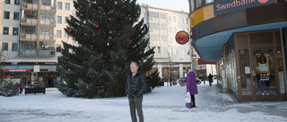 Paradgranen pryder sin plats på torget