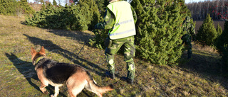 Sökinsats efter försvunnen kvinna avblåst