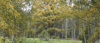 Nu ska naturreservatet utforskas