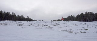 Därför har Klubbvikens skogsstrand kapats