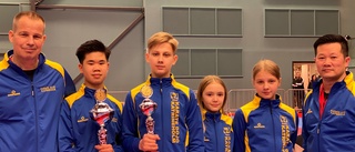 Medaljer för Karate Dojo Katrineholm 