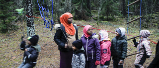 Lyckliga gatorna lockade ut i skogen