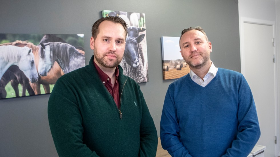 Bröderna Magnus och Stefan Cederlund är födda och uppvuxna på Gotland. 