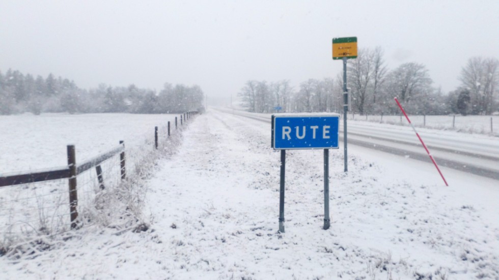 På fredagen snöade det ymnigt på många håll på Gotland.