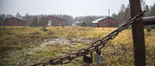 Nya undersökningar vid Södervägs brädgård 