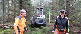 Vill se skog skötas mer skonsamt