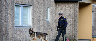 Ingen gripen för våldsbrottet på Gråbo