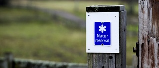 Fyra nya naturreservat på norr