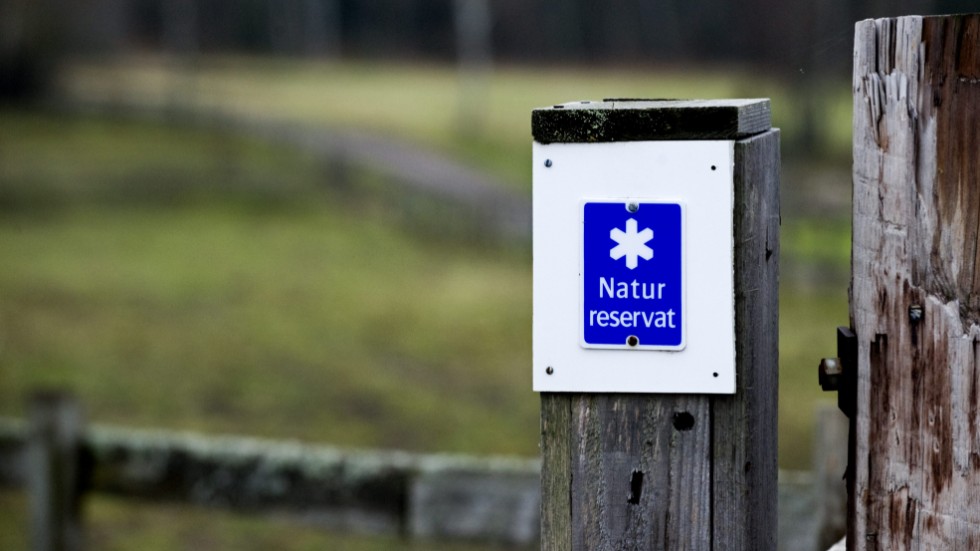 Gotland har fått fyra nya naturreservat. 