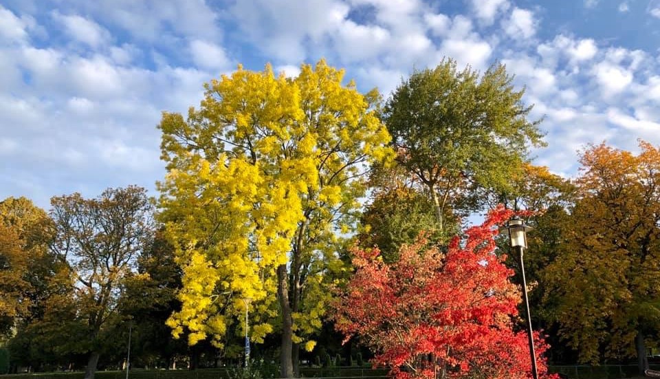 Höst i Folkparken.