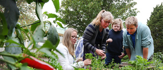 Eleverna som sätter krydda på skolan