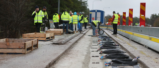 Unik elväg ska testas på Gotland 