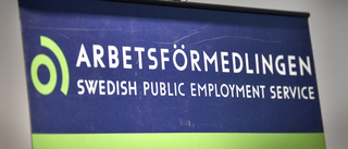 Trots alla program: arbetslösheten består