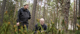 De tar strid för 180-årig tallmosse i stan