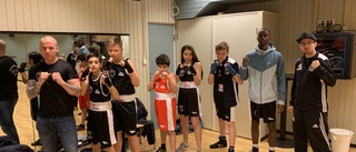 Fem BK30-vinster inför SM i boxning