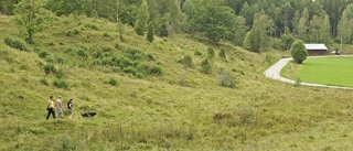 Två nya naturreservat under året till Kinda