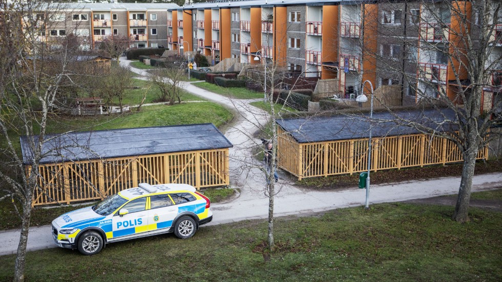 Under tisdagen äger det rum en ny häktning kring det misstänkta mordet. 