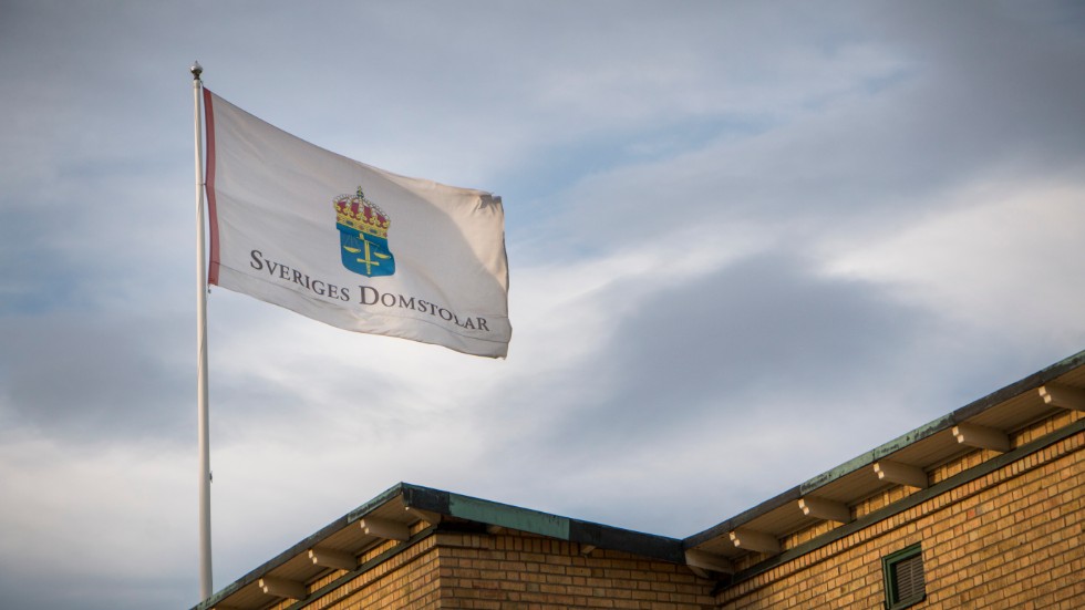 Rättspsykiatrisk vård med särskild utskrivningsprövning blir påföljden för kvinnan i 30-årsåldern. (Arkivbild)