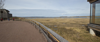 Naturum öppnar – med ny föreståndare