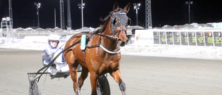 Kuskstjärnan dominerade i Boden igen