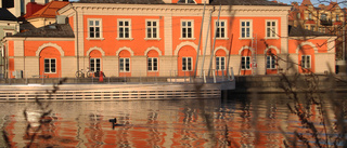 Planen: Anrika huset ska byta färg