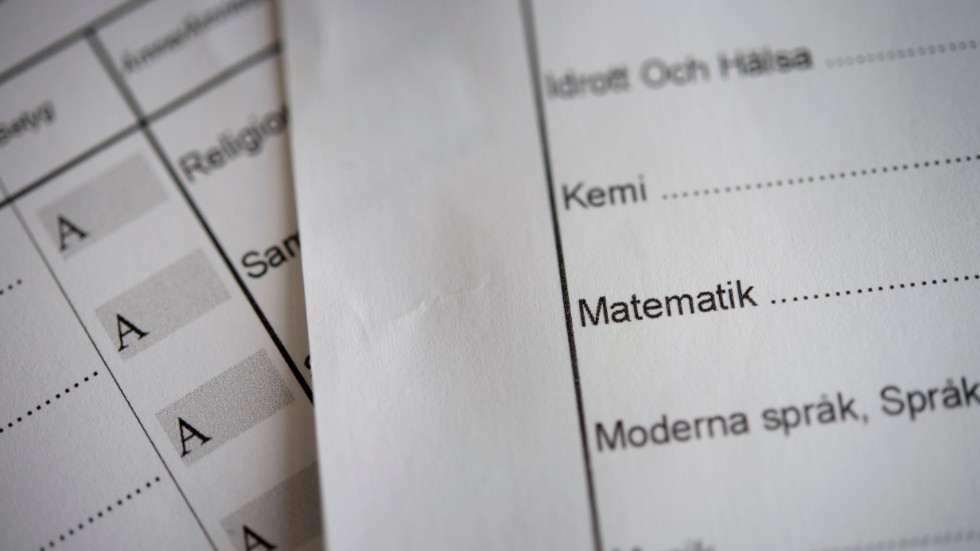 Den arbetssökande är misstänkt för att ha sökt jobb med förfalskade betyg.