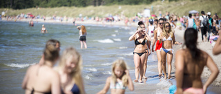 Så ska du bete dig på Gotland i sommar