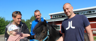 De har fått sin egen "hårdrocksponny"