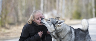 Buset med hunden hade kunnat kosta henne livet