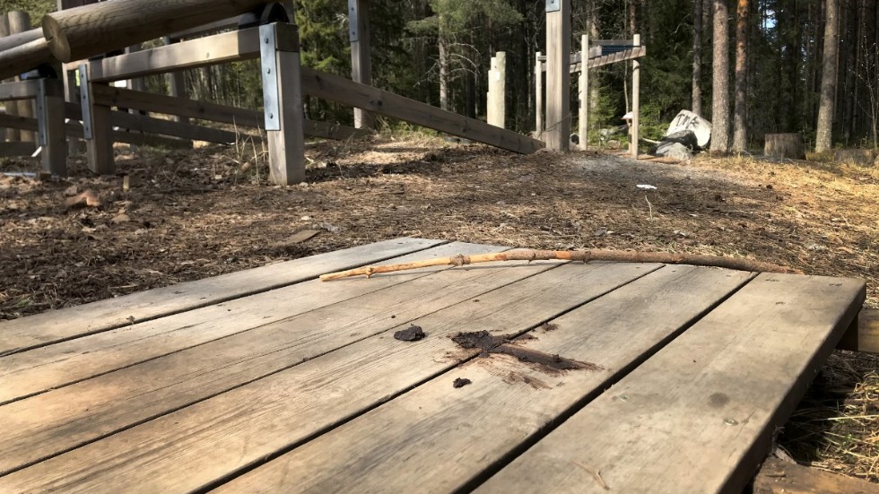 Utegymmet kommer att ligga nära elljusspåret i Öregrund, men den exakta platsen är ännu inte bestämd. (Bilden är tagen från ett annat utegym).