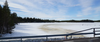 Föreningen vill rädda Gasasjön från att växa igen