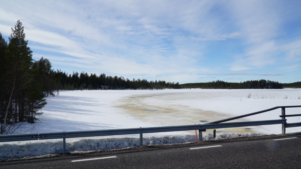 På andra sidan bron syns den gamla strandlinjen tydligt vid trädgränsen till vänster. "Men vattnet når aldrig i närheten av så högt upp längre", säger Lotta Svensson. 