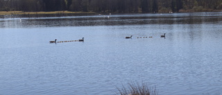 Stöld ur båt- fiskeutrustning saknades