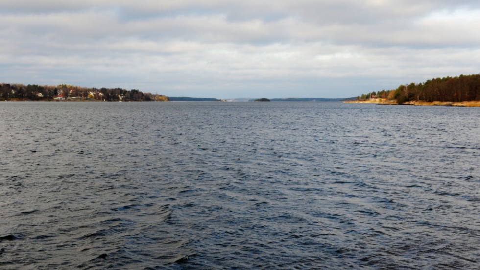 Antalalet laxar som vandrar upp är fortsatt lågt .