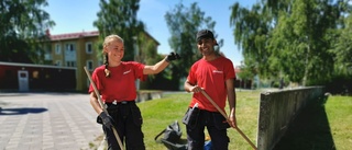 De fick sommarjobb – trots coronakrisen